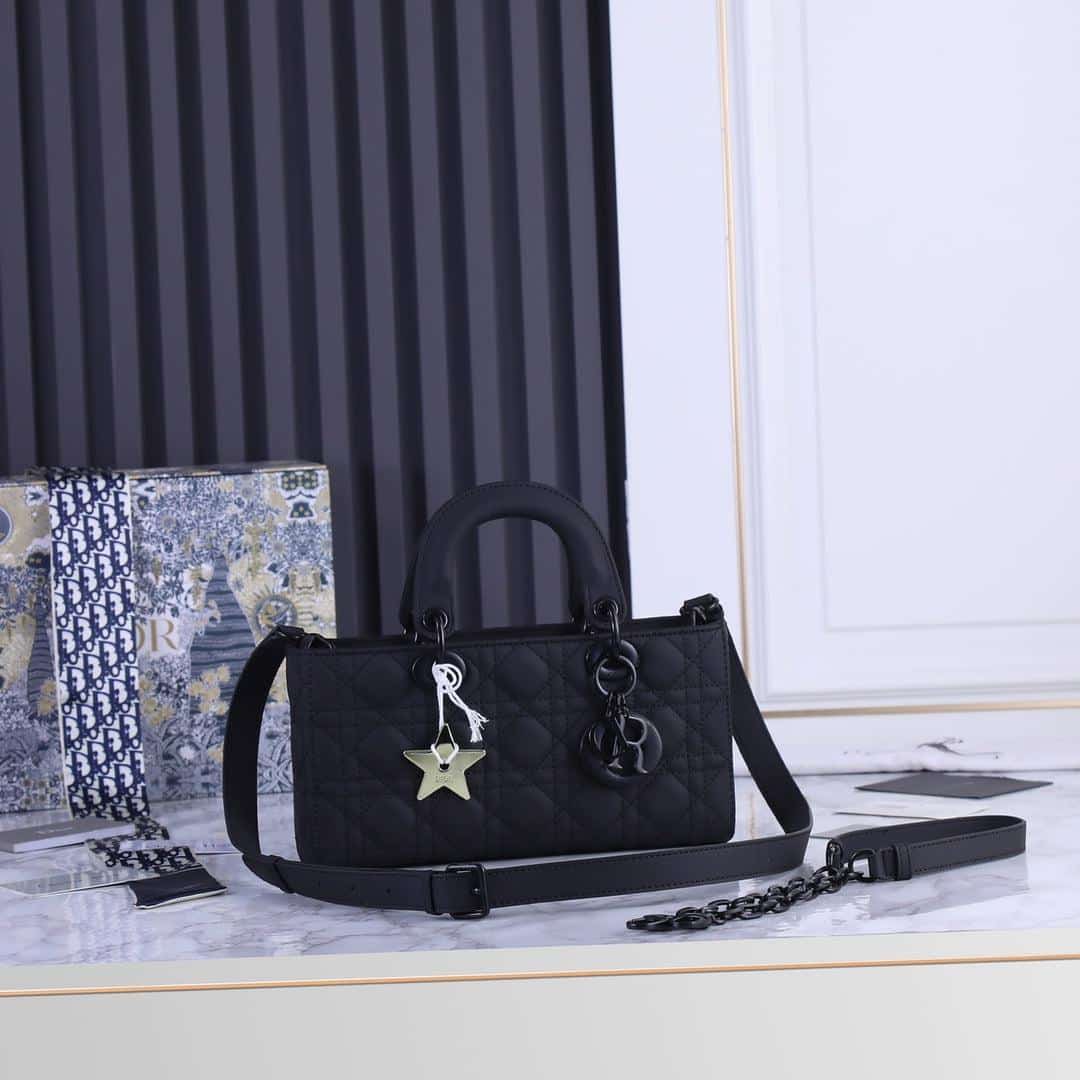 Túi Xách Nữ Hàng Hiệu Dior Lady Màu Đen Da Mịn 24cm - DWatch Luxury