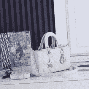 Dior LADY D-JOY BAG replica