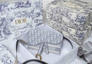Dior SADDLE BELT POUCH replica