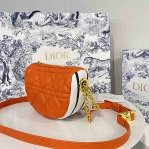 Dior SMALL VIBE HOBO BAG replica
