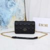 Dior Caro Belt Pouch With Chain replica