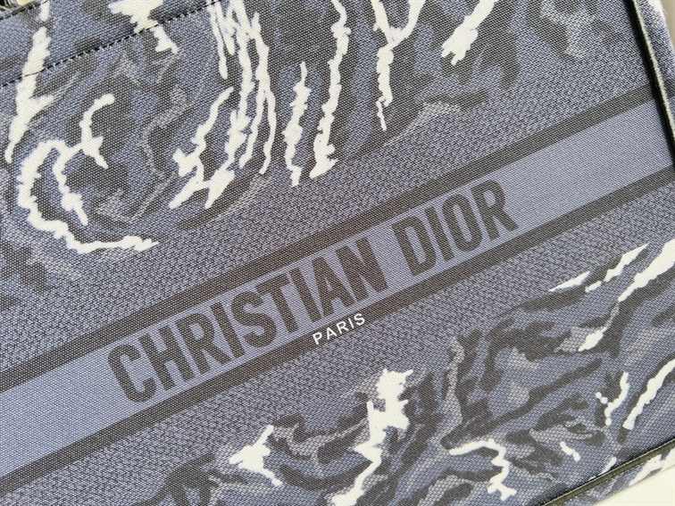 Dior Medium Book Tote Earth Pattern replica