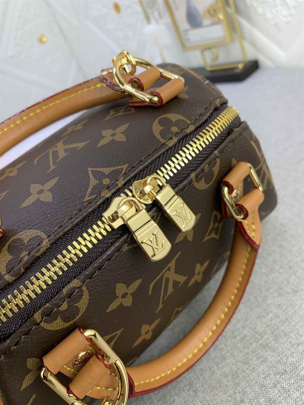 Louis Vuitton Ribera Mini Bag replica